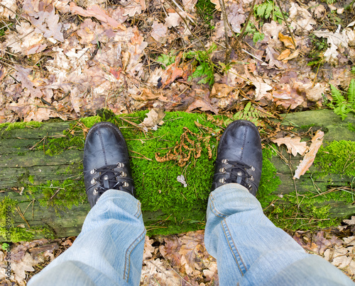 Feet in an oak forest. © shahteer