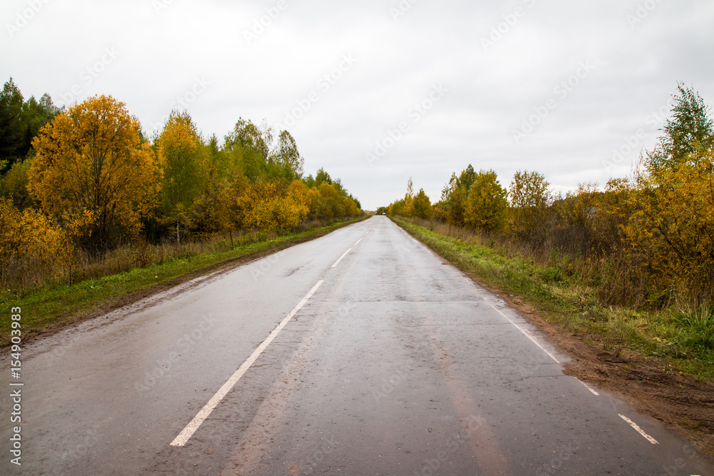 Road and yellow trees in autumn Road and yellow trees in autumn