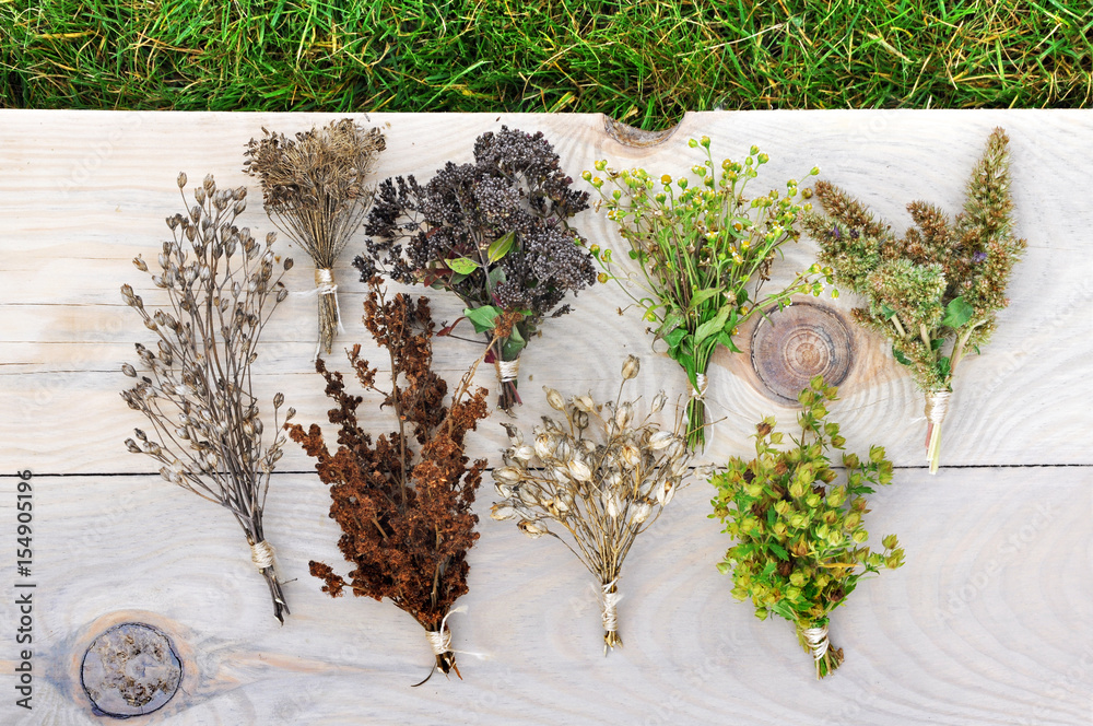 Fototapeta premium Various dried herbs collected in bunches on a light wood surface. Top view.