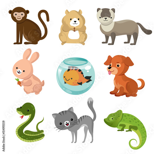 Cartoon cute home pets vector collection