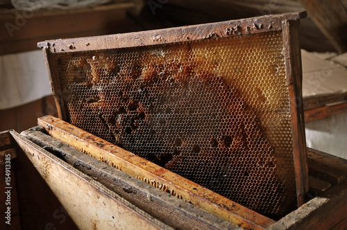 Homemade apiary. Wooden frame with bee wax honeycomb. Warm colors toning. © struvictory