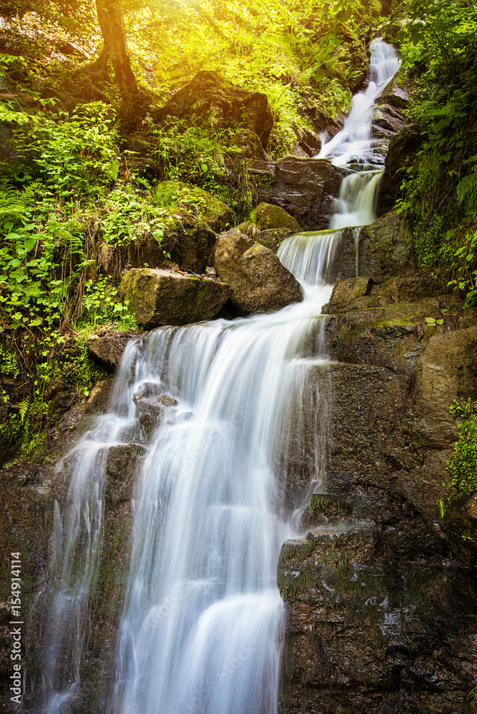 Obraz premium Forest stream waterfall