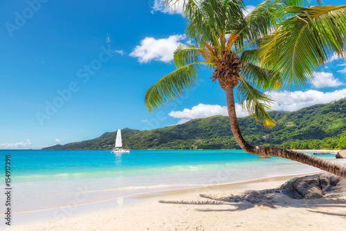 Amazing beach with coconut palm tree and sailing yacht on Mahe island, Seychelles. photo