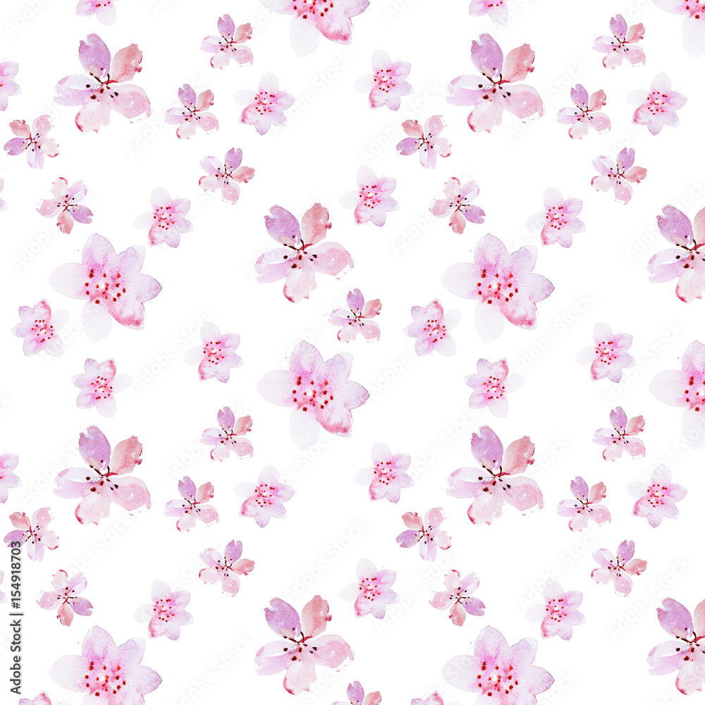 Watercolor drawing of fresh garden flowers aquarelle painting.