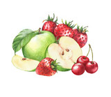 Hand-drawn watercolor fruits clip art. Isolated illustration of the green apples, cherries and red juicy strawberries on the white background. Food drawing for package, poster, banner, advertisement.