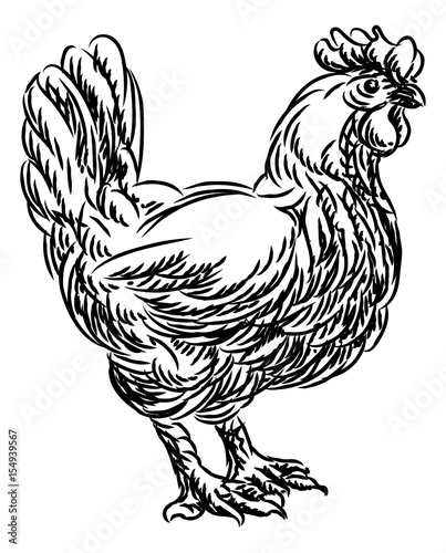 Chicken Rooster Food Grunge...