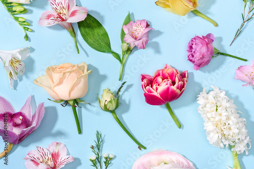 Top view of beautiful blooming flowers collection isolated on blue