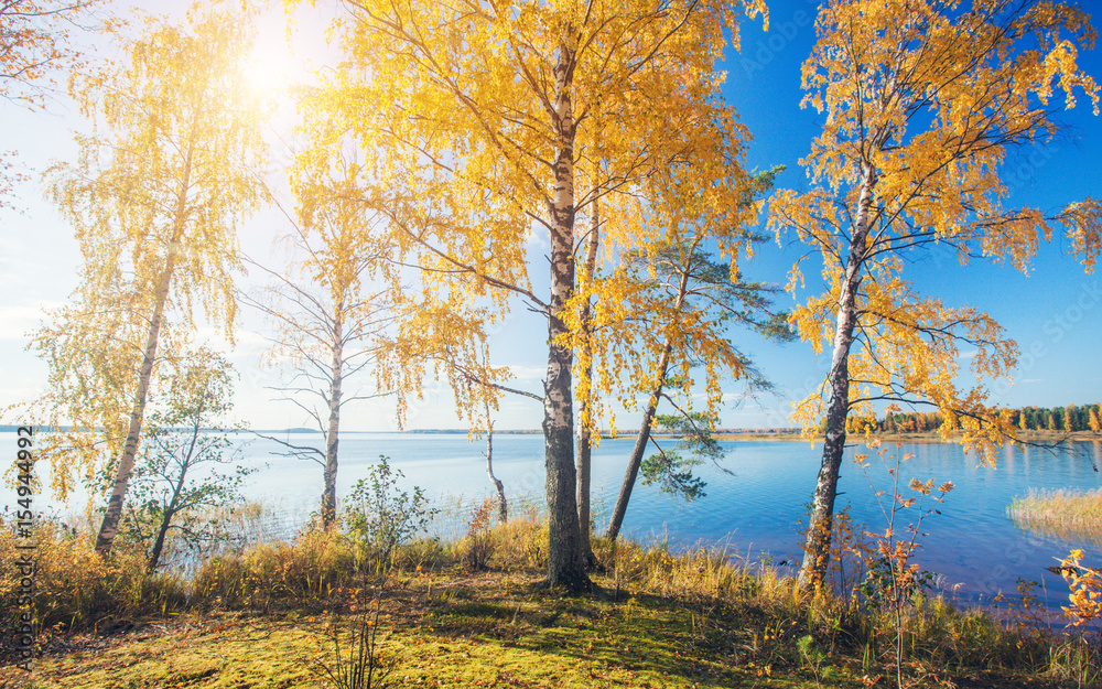 Fototapeta premium Autumnal Park. Autumn Trees and lake