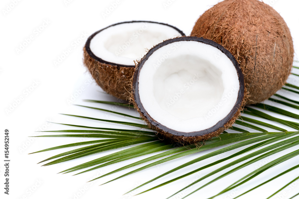 organic ripe coconuts with green palm leaf on coconut leaf isolated on white organic ripe coconuts with green palm leaf on coconut leaf isolated on white