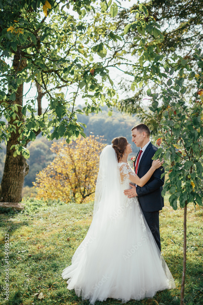 The charming brides embracing in the park The charming brides embracing in the park
