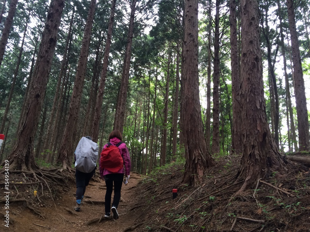 Obraz premium 登山