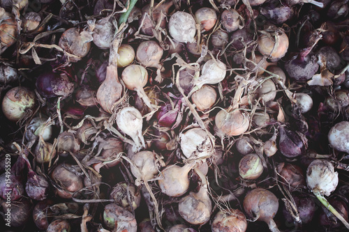 Ripe onions background. photo