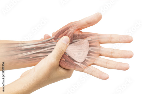 hand muscle pain photo