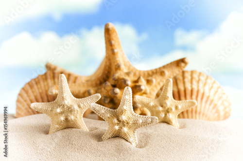 Starfishes and shells on beach sand © digieye