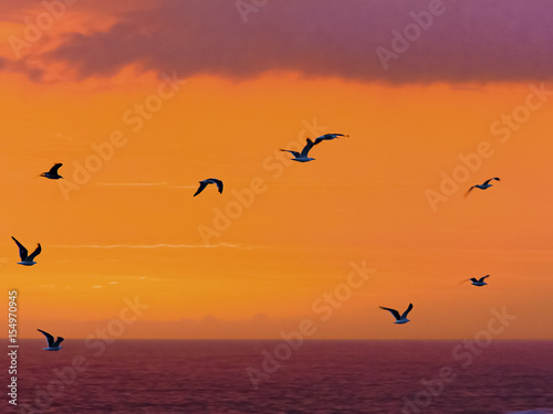 Sea-birds fly past a spectacular sunset at Storms River mouth in the Tsitsikamma Nature Reserve in South Africa.