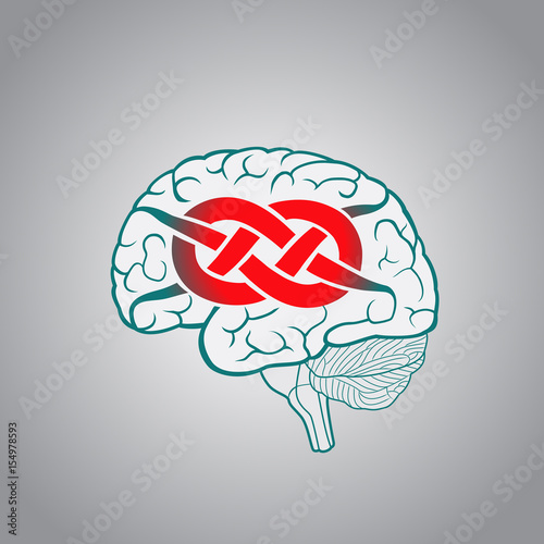 Brain with convolutions associated to the knot