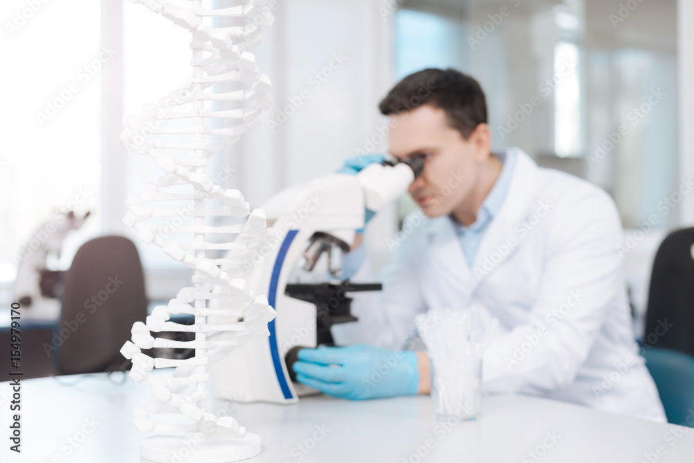 Focused on DNA model photo showing work in the lab Focused on DNA model photo showing work in the lab
