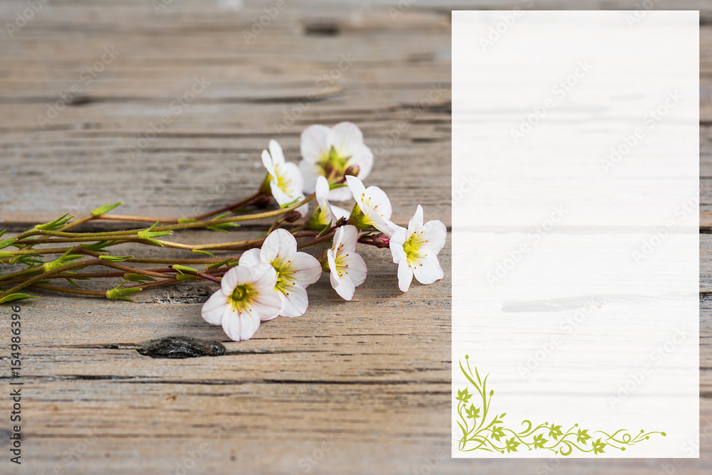 White flowers on wooden background. White flowers on wooden background.