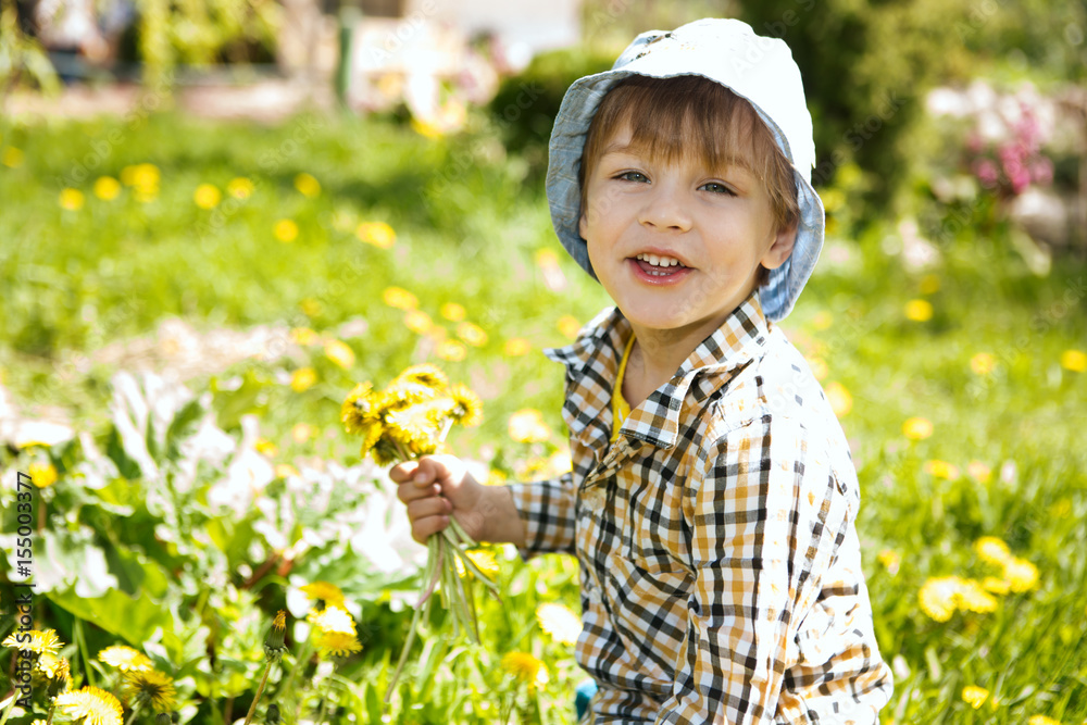 the boy collects flowers dandelions in the summer outdoors the boy collects flowers dandelions in the summer outdoors