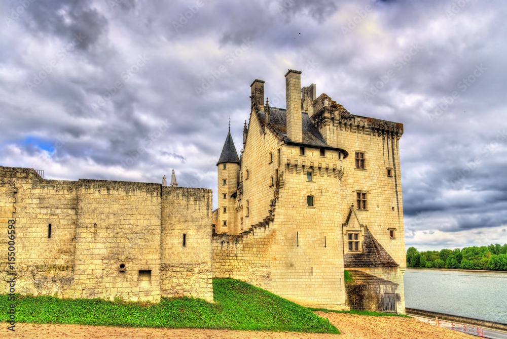 Chateau de Montsoreau on the bank of the Loire in France