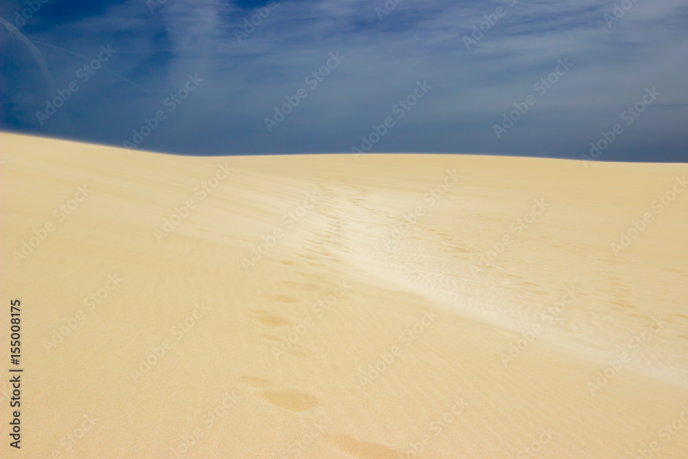 Spuren in der Wüste