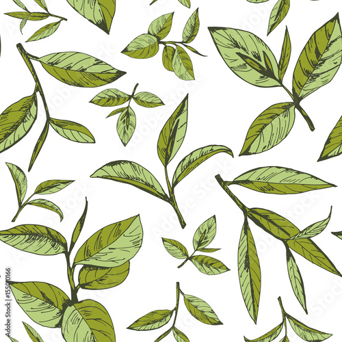 seamless pattern with green tea, hand-drawn leaves and branches of tea