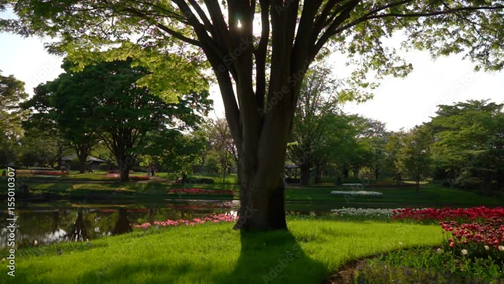 Spring park video Spring park video