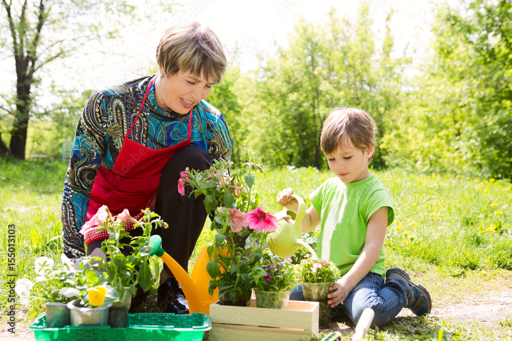 Fototapeta premium the child with the grandmother plants flowers in a garden