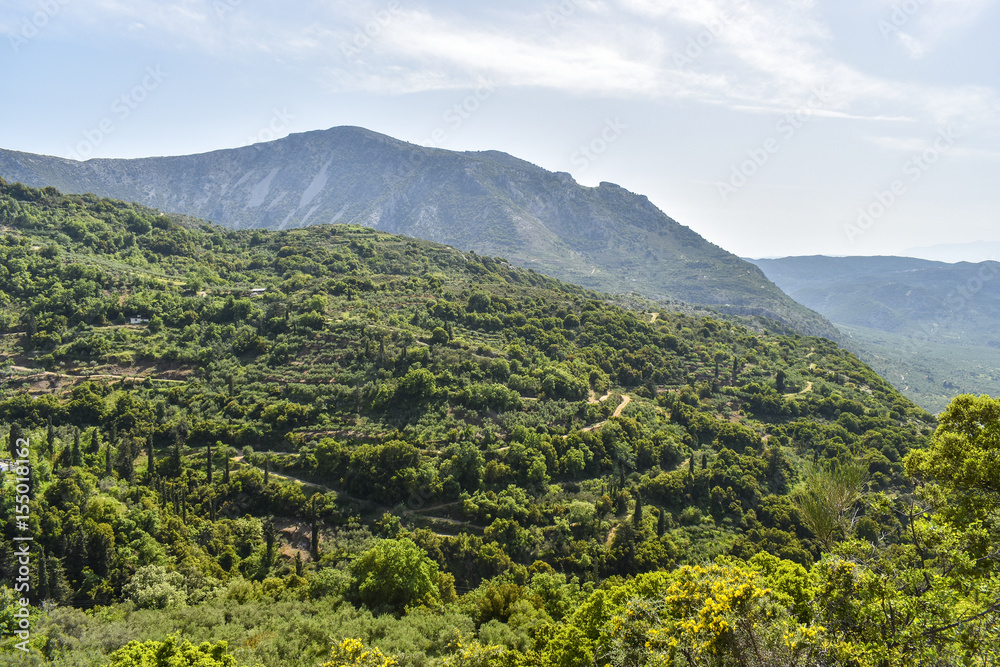 Fototapeta premium View of the mountains