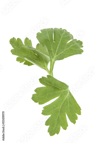 Parsley isolated on white background