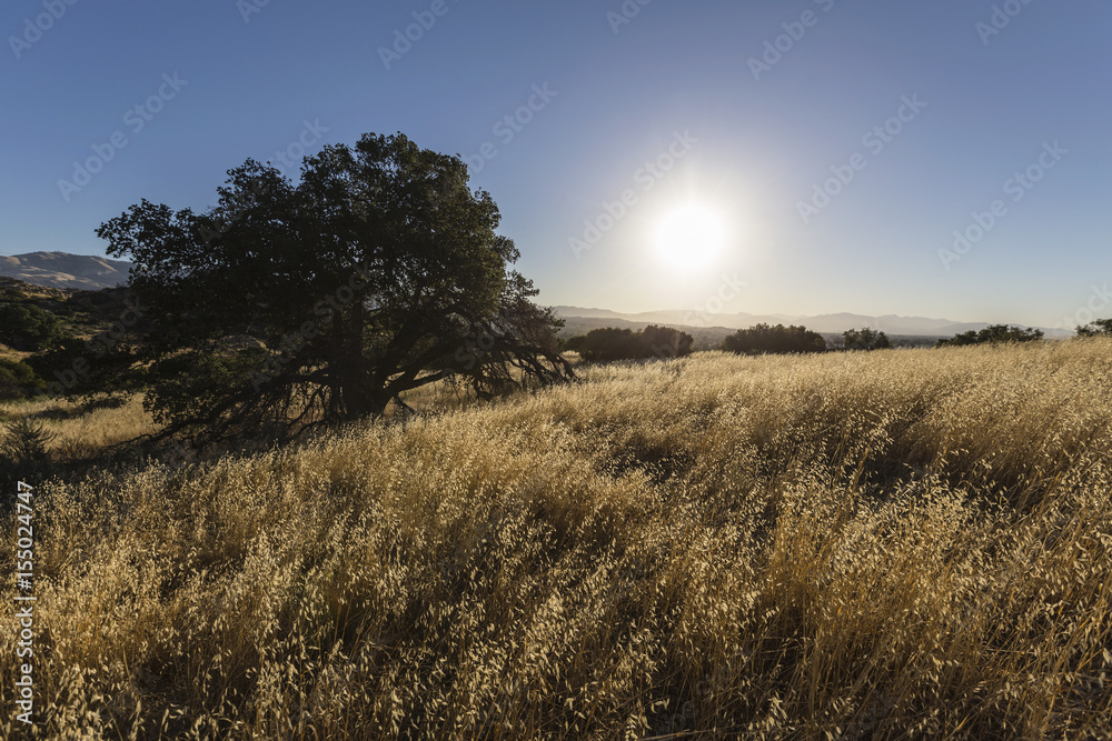 Morning view at Santa Susana State Historic Park in the San Fernando Valley area of Los Angeles, California.  