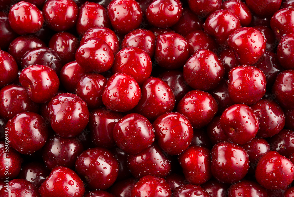 Cherry. Fresh wet organic cherry berries with drops. Fruit background Cherry. Fresh wet organic cherry berries with drops. Fruit background