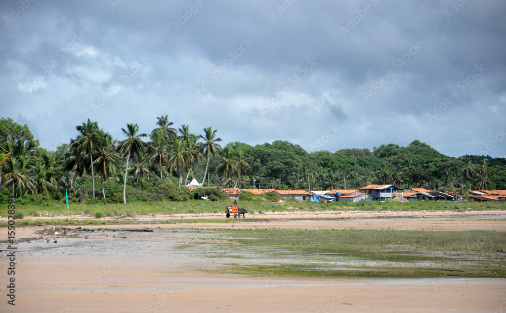 Fototapeta premium Marajó landscape