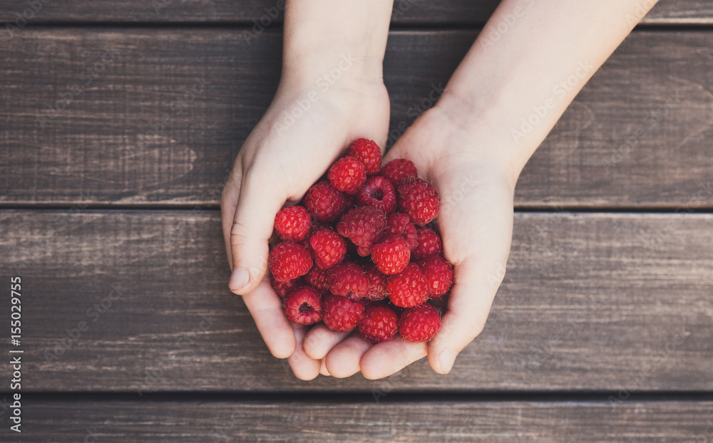 Fresh raspberries in woman's hands on wood background Fresh raspberries in woman's hands on wood background