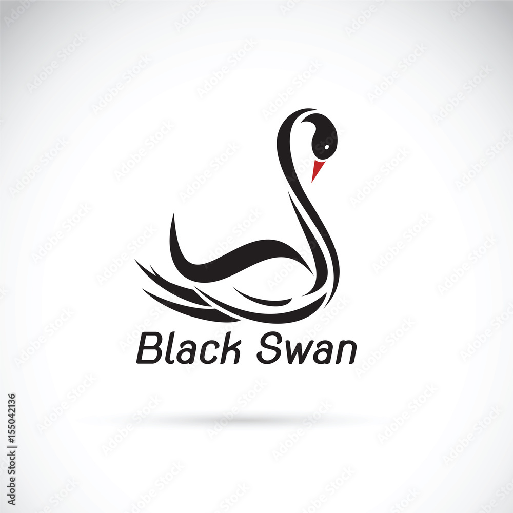 Obraz premium Vector of a black swan on white background. Wild Animals.