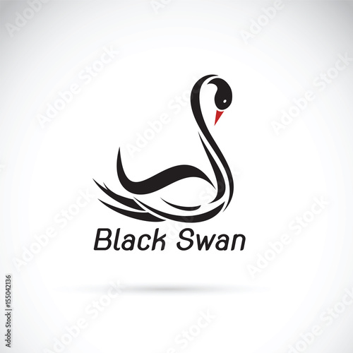 Vector of a black swan on white background. Wild Animals.
