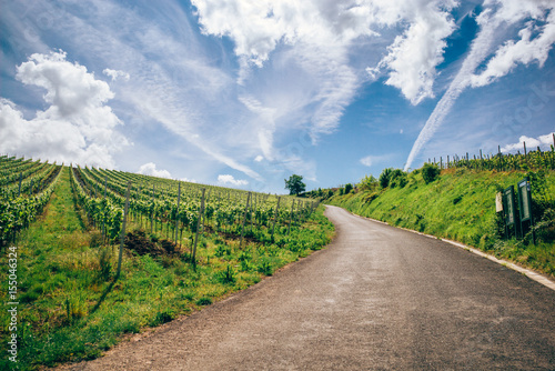 фотографія Vineyards in Luxembourg