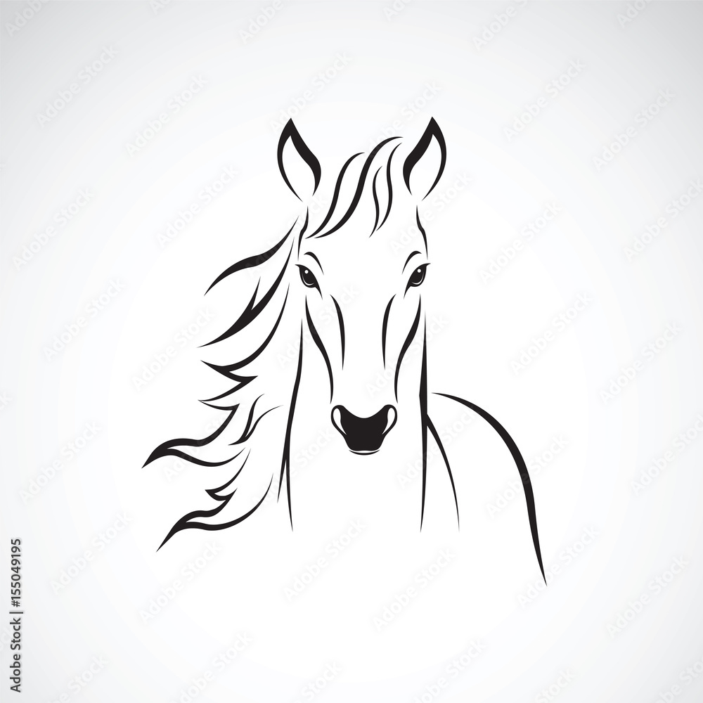 Vector of a horse on white background. Wild Animals.