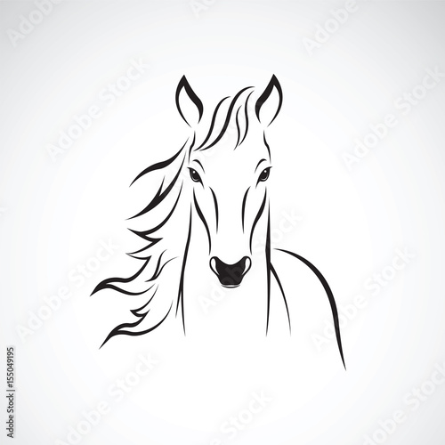 Vector of a horse on white background. Wild Animals.