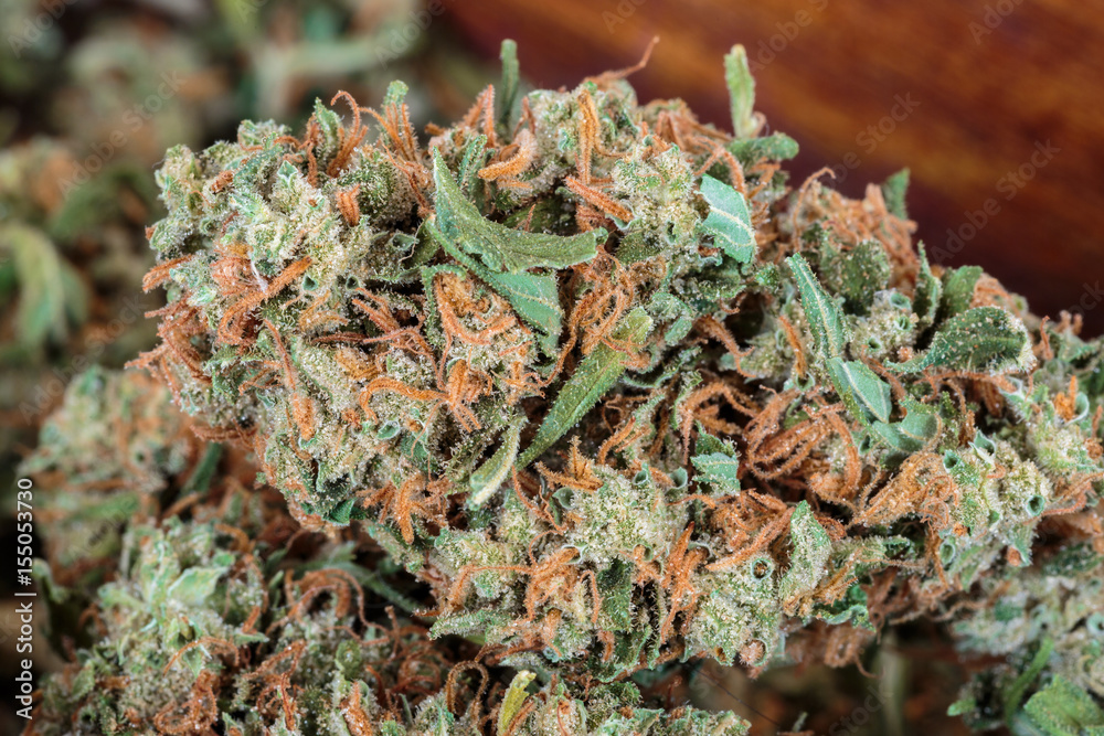 Marijuana buds high resolution Marijuana buds high resolution