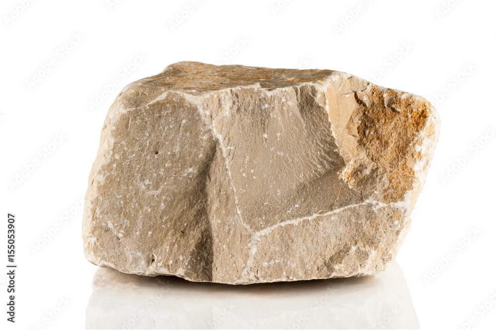 fragment of limestone fragment of limestone