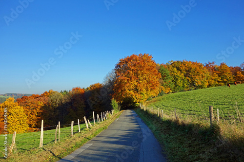 weg in den herbstwald, sauerland