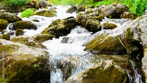 Ormanın İçinden Akan Doğal Pınar Suyu photo