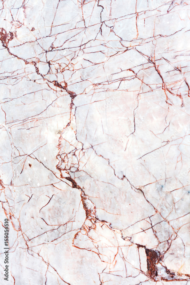 white marble texture background (High resolution). white marble texture background (High resolution).