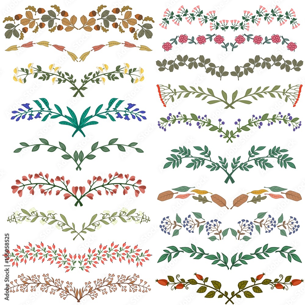 Set of dividers in nature design. Colorful floral branches. Vector illustration.