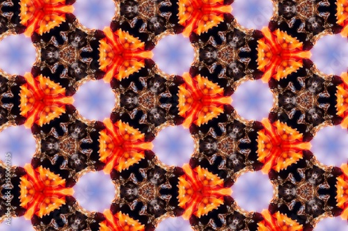 Abstract photo pattern sea shell