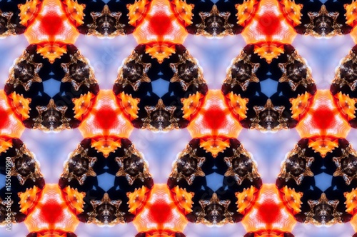 Abstract photo pattern sea shell