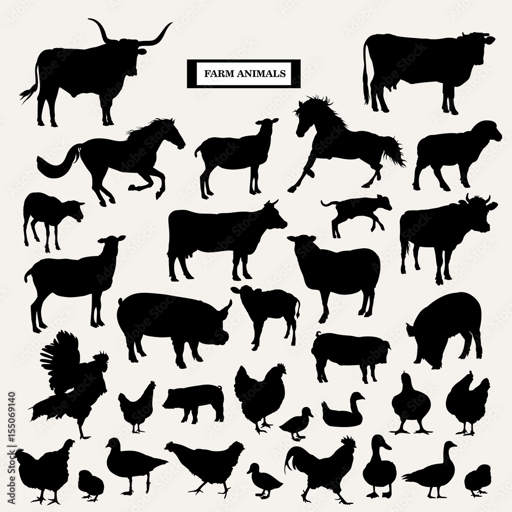 Farm animals on a white background