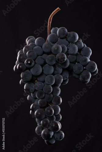 Berries of dark bunch of grape in low light isolated on black background