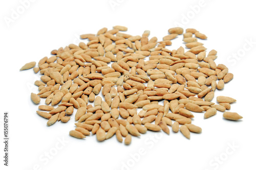 Healthy sun flower seed on white background